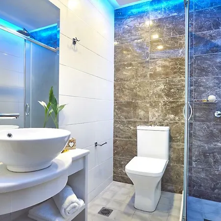 公寓 Savvas Luxury 拉加纳斯